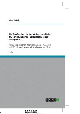 Oliver Gebel - Profession in der Arbeitswelt des 21. Jahrhunderts - Expansion einer Kategorie?, Häftad