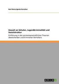 Gewalt an Schulen, Jugendkriminalit�t und Sozialstruktur