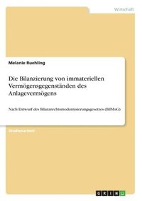 Anderungen in Der Bilanzierung Von Selbst Erstellten Immateriellen Vermogensgegenstanden Des Anlagevermogens