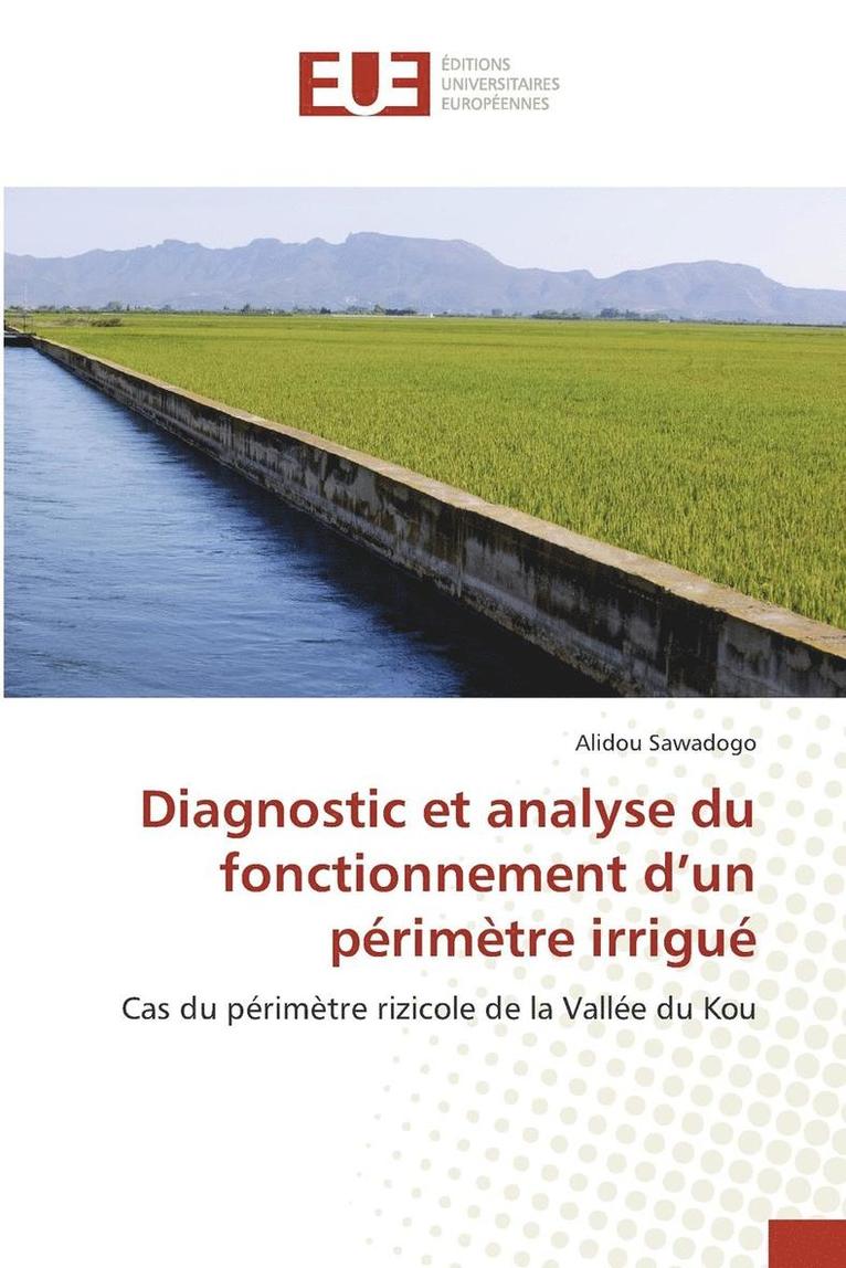 Diagnostic Et Analyse Du Fonctionnement d'Un Périmètre Irrigué