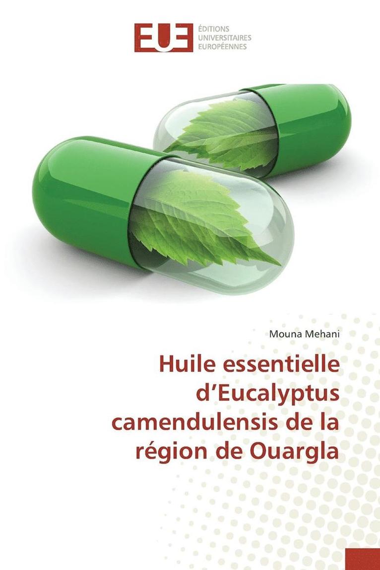 Huile Essentielle d'Eucalyptus Camendulensis de la Région de Ouargla