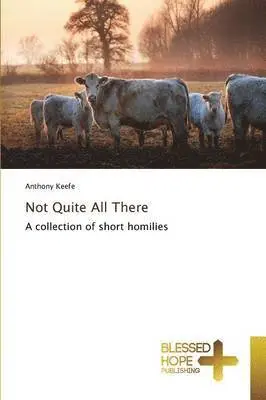 Anthony Keefe - Not Quite All There, Häftad. Tillgänglighet: Lägg i varukorg