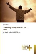 Attaining Perfection in God's Plan