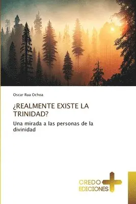 Oscar Rua Ochoa - ¿Realmente Existe La Trinidad?, Häftad. Tillgänglighet: Lägg i varukorg