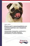 Efecto peri y paraneoplasico en caninos (perras) con neoplasia mamaria