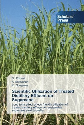 S Previna, A Saravanan, K Sivagamy - Scientific Utilization of Treated Distillery Effluent on Sugarcane, Häftad