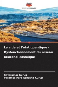 vide et l'�tat quantique - Dysfonctionnement du r�seau neuronal cosmique