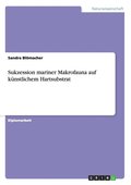 Sukzession mariner Makrofauna auf künstlichem Hartsubstrat