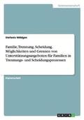 Familie, Trennung, Scheidung. M�glichkeiten und Grenzen von Unterst�tzungsangeboten f�r Familien in Trennungs- und Scheidungsprozessen