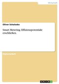 Smart Metering. Effizienzpotentiale erschlieen.