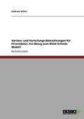 Varianz- und Verteilungs-Betrachtungen f�r Finanzdaten mit Bezug zum Black-Scholes Modell