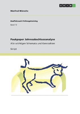 Manfred Wünsche - Paukpaper Jahresabschlussanalyse, Häftad