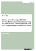 Besteht eine Chancengleichheit f�r Sondersch�ler mit einer Lernbehinderung bei der Wahl ihres Ausbildungsberufs und den �bergangsm�glichkeiten in den Beruf?