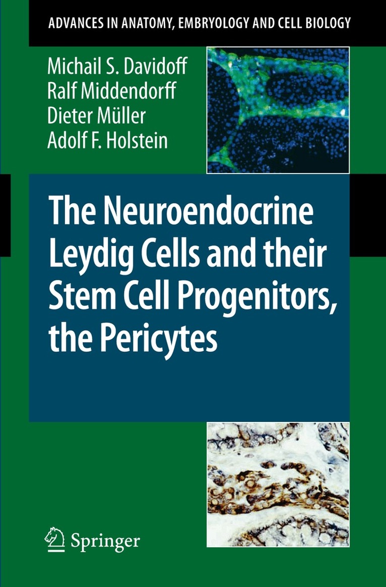 Michail S. Davidoff, Ralf Middendorff, D. Müller, Adolf F. Holstein - Neuroendocrine Leydig Cells and their Stem Cell Progenitors, the Pericytes, Häftad