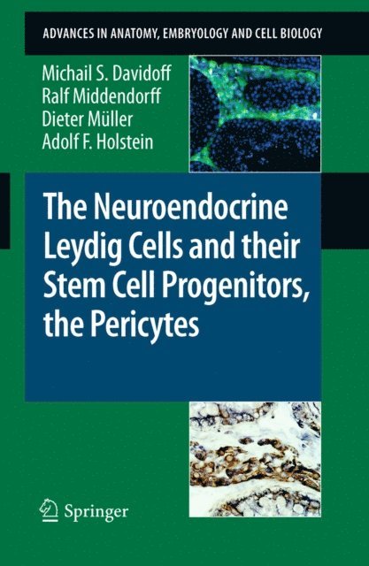 Adolf F. Holstein, D. Muller, Ralf Middendorff, Michail S. Davidoff - Neuroendocrine Leydig Cells and their Stem Cell Progenitors, the Pericytes, E-bok