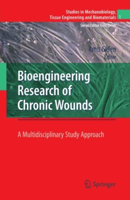 Amit Gefen - Bioengineering Research of Chronic Wounds, E-bok