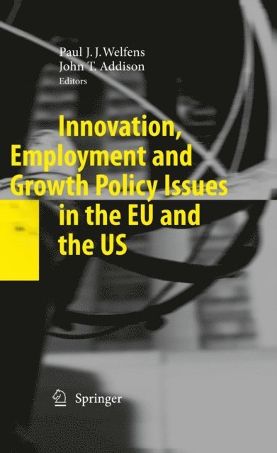 John T. Addison, Paul J.J. Welfens - Innovation, Employment and Growth Policy Issues in the EU and the US, E-bok