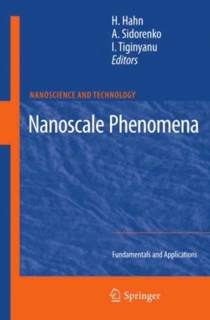 Ion Tiginyanu, Anatoli Sidorenko, Horst Hahn - Nanoscale Phenomena, E-bok
