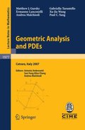 Geometric Analysis and PDEs