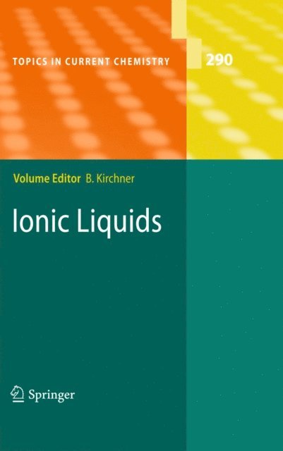 Barbara Kirchner - Ionic Liquids, E-bok