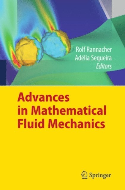 Adelia Sequeira, Rolf Rannacher - Advances in Mathematical Fluid Mechanics, E-bok