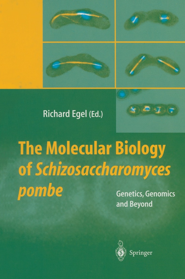 Richard Egel - Molecular Biology of Schizosaccharomyces pombe, Häftad