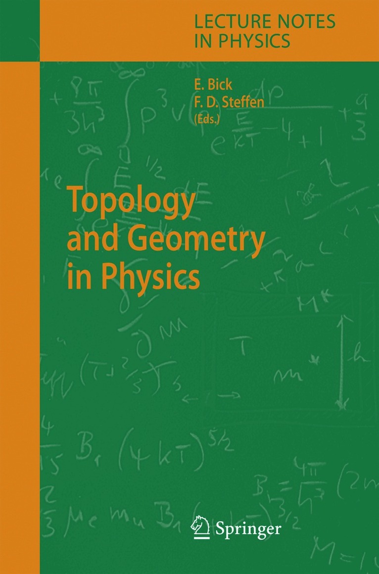 Eike Bick, Frank Daniel Steffen - Topology and Geometry in Physics, Häftad
