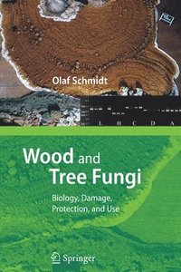 Wood and Tree Fungi