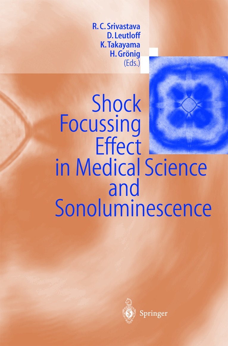 Ramesh C. Srivastava, Dieter Leutloff, Kazuyashi Takayama, Hans Grönig - Shock Focussing Effect in Medical Science and Sonoluminescence, Häftad