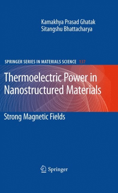 Sitangshu Bhattacharya, Kamakhya Prasad Ghatak - Thermoelectric Power in Nanostructured Materials, E-bok