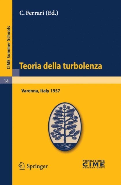 C. Ferrari - Teoria della turbolenza, E-bok