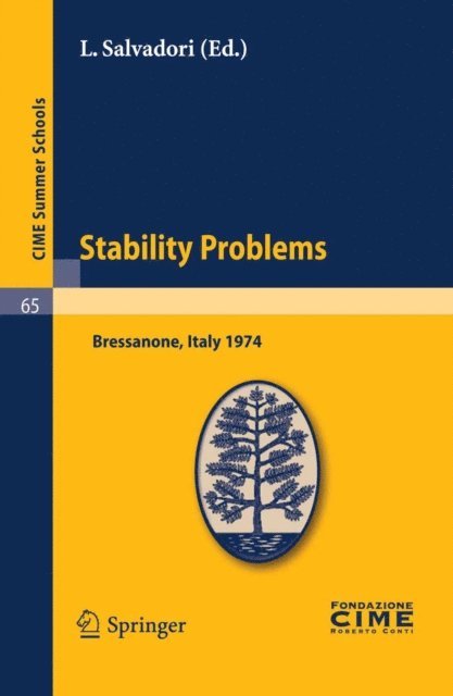 L. Salvadori - Stability Problems, E-bok