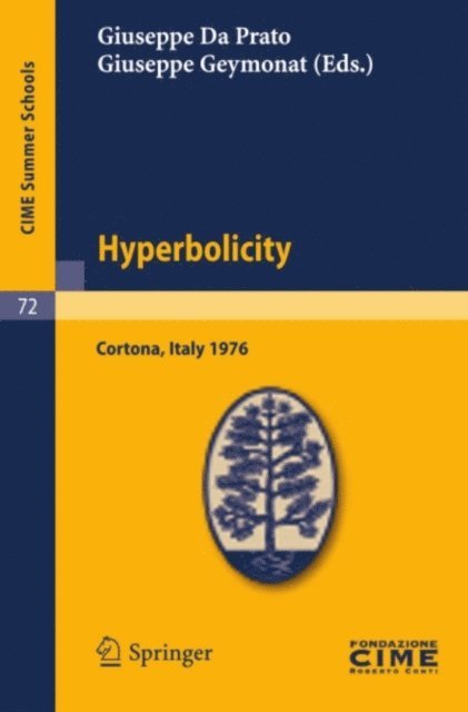 Giuseppe Geymonat, Giuseppe Da Prato - Hyperbolicity, E-bok