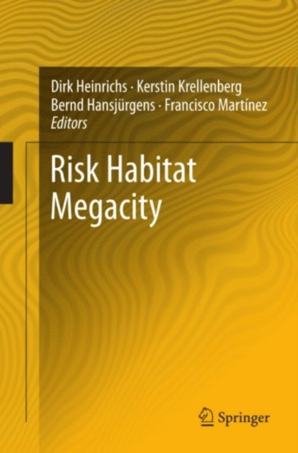 Francisco Martinez, Bernd Hansjurgens, Kerstin Krellenberg, Dirk Heinrichs - Risk Habitat Megacity, E-bok