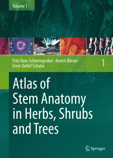Ernst-Detlef Schulze, Annett Borner, Fritz Hans Schweingruber - Atlas of Stem Anatomy in Herbs, Shrubs and Trees, E-bok