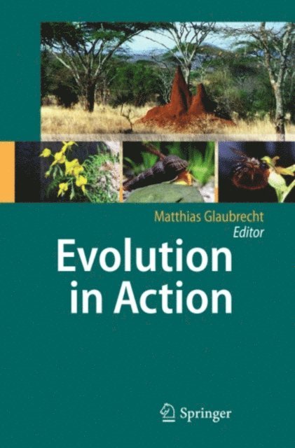 Matthias Glaubrecht - Evolution in Action, E-bok
