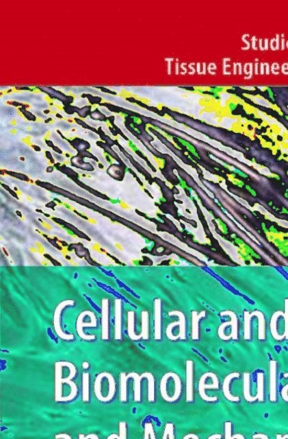 Amit Gefen - Cellular and Biomolecular Mechanics and Mechanobiology, E-bok