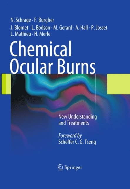 Harold Merle, Laurence Mathieu, Patrice Josset, Alan Hall, Max Gerard, Lucien Bodson, Joel Blomet, Francois Burgher, Norbert Schrage - Chemical Ocular Burns, E-bok
