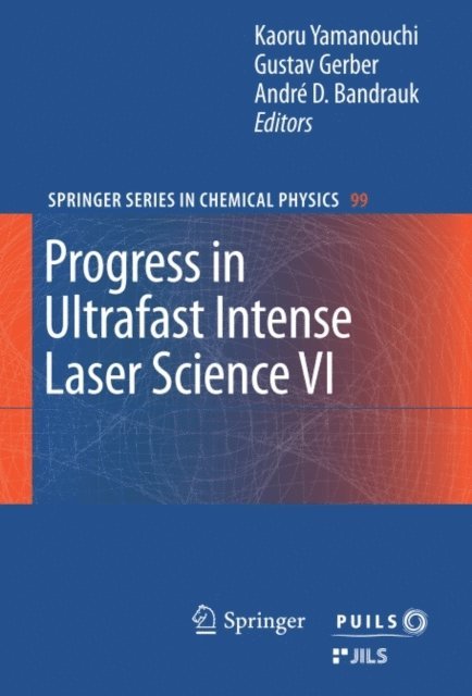Andre D Bandrauk, Gustav Gerber, Kaoru Yamanouchi - Progress in Ultrafast Intense Laser Science VI, E-bok