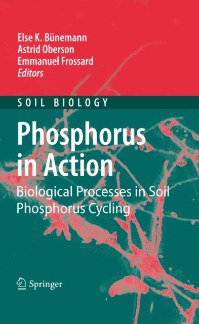 Emmanuel Frossard, Astrid Oberson, Else K. Bunemann - Phosphorus in Action, E-bok