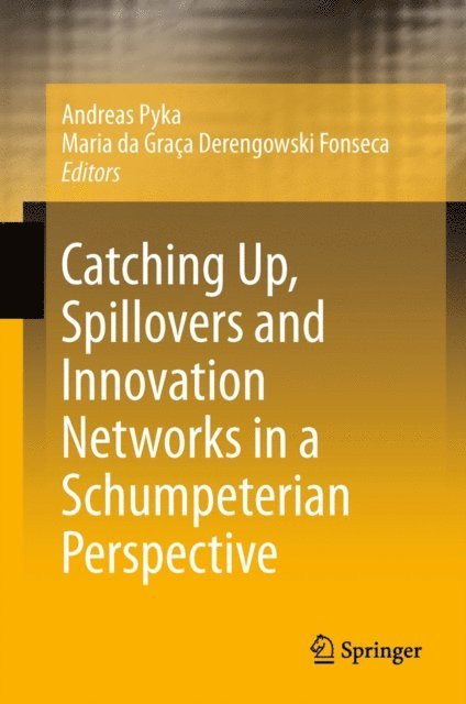 Maria da Graca Derengowski Fonseca, Andreas Pyka - Catching Up, Spillovers and Innovation Networks in a Schumpeterian Perspective, E-bok
