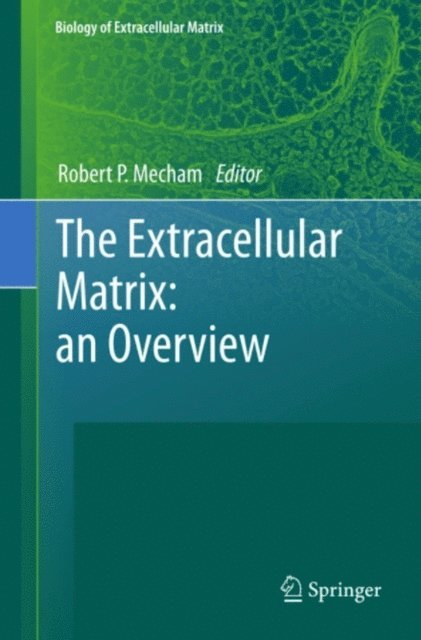 Robert Mecham - Extracellular Matrix: an Overview, E-bok