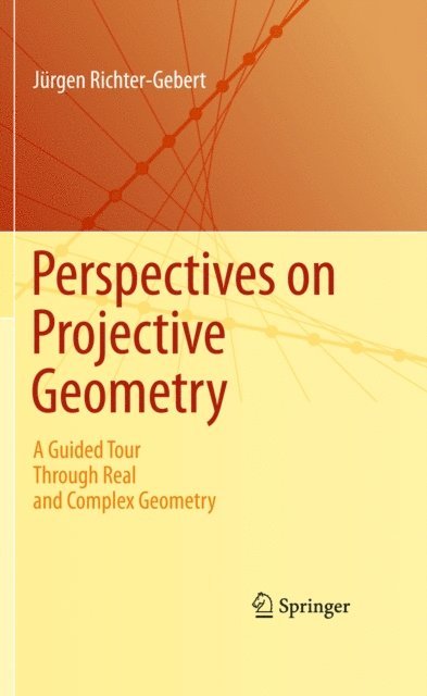 Jurgen Richter-Gebert - Perspectives on Projective Geometry, E-bok