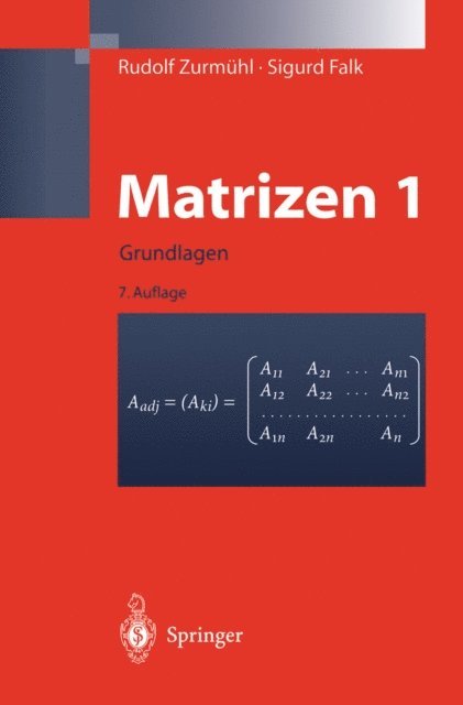 Sigurd Falk, Rudolf Zurmuhl - Matrizen und ihre Anwendungen 1, E-bok