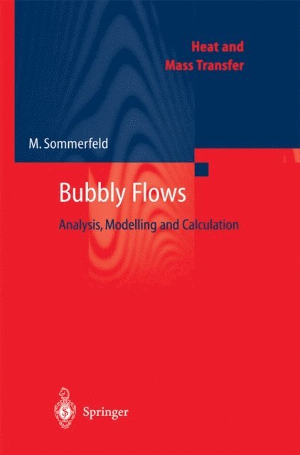 Martin Sommerfeld - Bubbly Flows, E-bok
