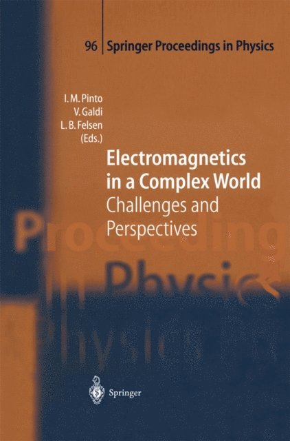 Leopold B. Felsen, Vincenzo Galdi, Innocenzo Pinto - Electromagnetics in a Complex World, E-bok