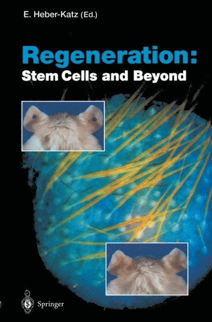 Ellen Heber-Katz - Regeneration: Stem Cells and Beyond, E-bok