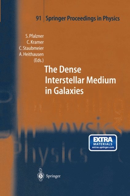 Andreas Heithausen, Christian Straubmeier, Carsten Kramer, Susanne Pfalzner - Dense Interstellar Medium in Galaxies, E-bok