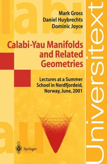 Dominic Joyce, Daniel Huybrechts, Mark Gross, Stein A. Stromme, Kristian Ranestad, Loren Olson, Geir Ellingsrud - Calabi-Yau Manifolds and Related Geometries, E-bok