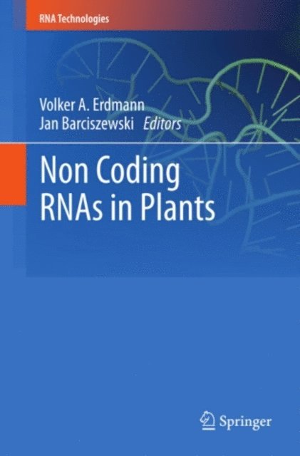 Jan Barciszewski, Volker A. Erdmann - Non Coding RNAs in Plants, E-bok